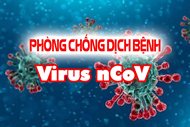 Về việc thực hiện các biện pháp cấp bách phòng, chống dịch bệnh Cov...