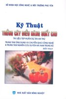 Kỹ Thuật Trồng Cây Điều Năng Suất Cao