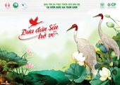 Bảo tồn và phát triển sếu đầu đỏ tại vườn quốc gia tràm chim