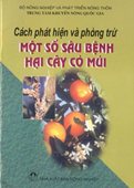 Cách Phát Hiện Và Phòng Trừ Một Số Sâu Bệnh Hại Cây Có Múi