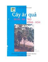 Cây Ăn Quả Đu Đủ-Na-Táo-Hồng-Xoài