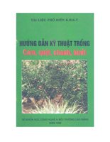 Hướng Dẫn Kỹ Thuật Trồng Cam, Quýt, Chanh, Bưởi 