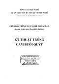 Kỹ Thuật Trồng Cam, Bưởi, Quýt