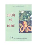 Chuối Và Đu Đủ