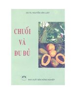 Chuối Và Đu Đủ