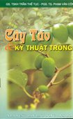 Cây Táo Và Kỹ Thuật Trồng