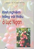 Kinh Nghiệm Trồng Vải Thiều Ở Lục Ngạn