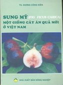 Sung Mỹ Một Giống Cây Ăn Quả Mới Ở Việt Nam