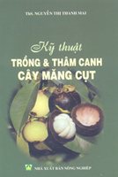 Kỹ Thuật Trồng & Thâm Canh Cây Măng Cụt