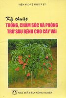 Kỹ Thuật Chăm Sóc Và Phòng Trừ Sâu Bệnh Cho Cây Vải