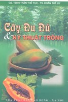 Cây Đu Đủ Và Kỹ Thuật Trồng