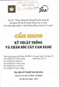 Cẩm Nang Kỹ Thuật Trồng Và Chăm Sóc Cây Cam Sành