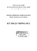 Kỹ Thuật Trồng Dứa dành cho đào tạo lưu động