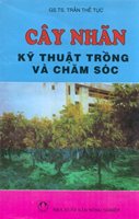 Cây Nhãn Kỹ Thuật Trồng Và Chăm Sóc