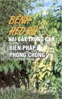 Bệnh Héo Rũ Hại Cây Trồng Cạn, Biện Pháp Phòng Chống